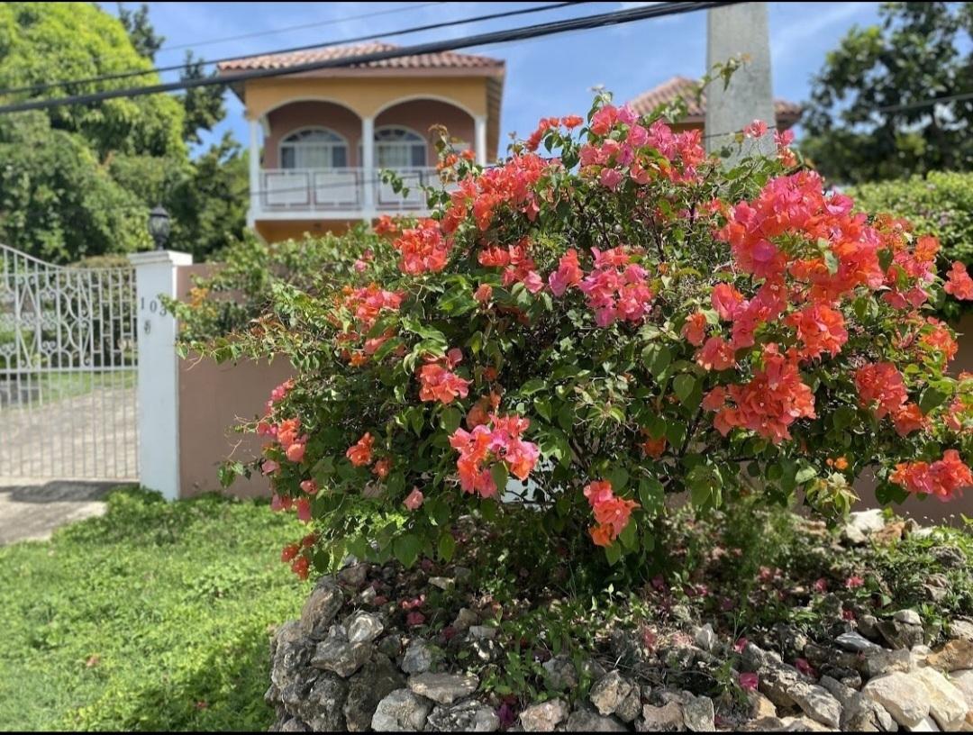 Apartment For Rent: HAMILTON DRIVE, Montego Bay | $95,000 photo 3