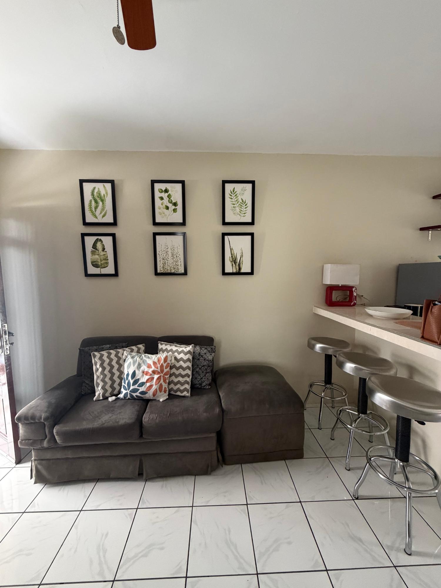 Apartment For Rent: CHELSEA AVENUE, Kingston 5 | $155,000