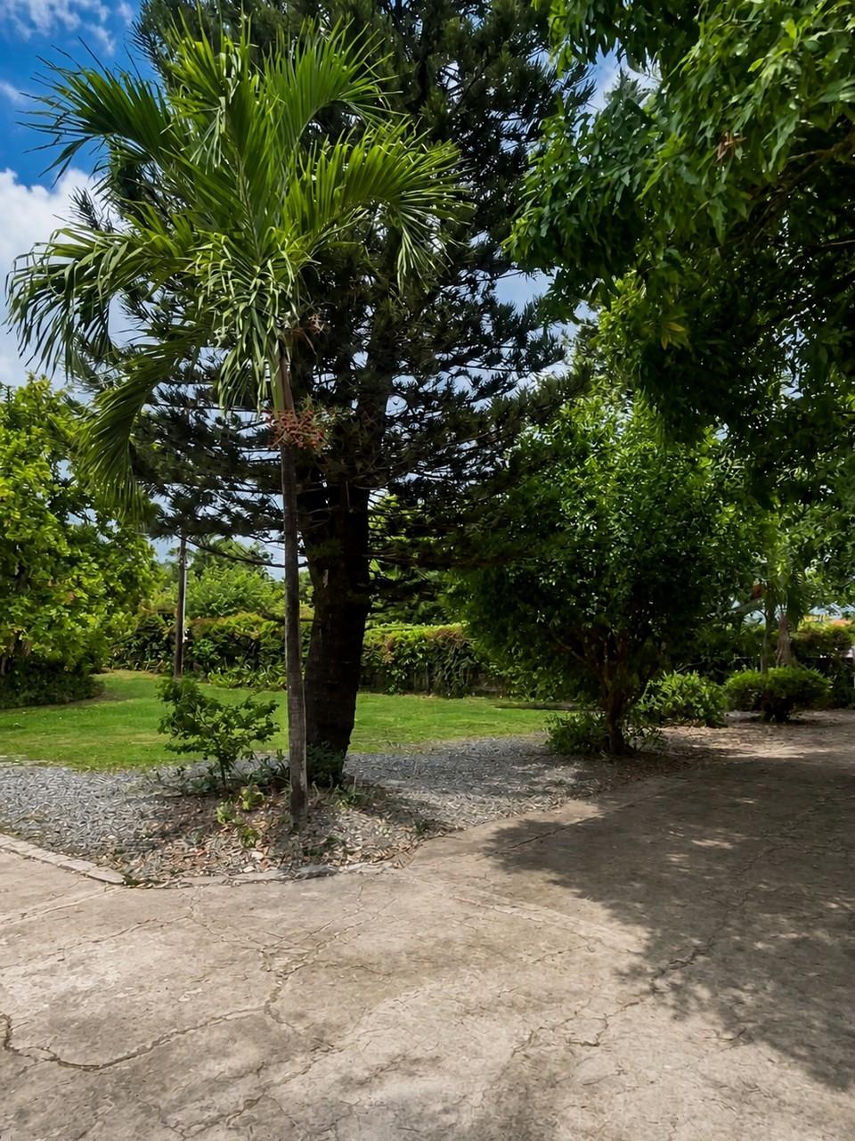 House For Rent: MILLSBOROUGH AVENUE, Kingston 6 | $140,000 photo 3