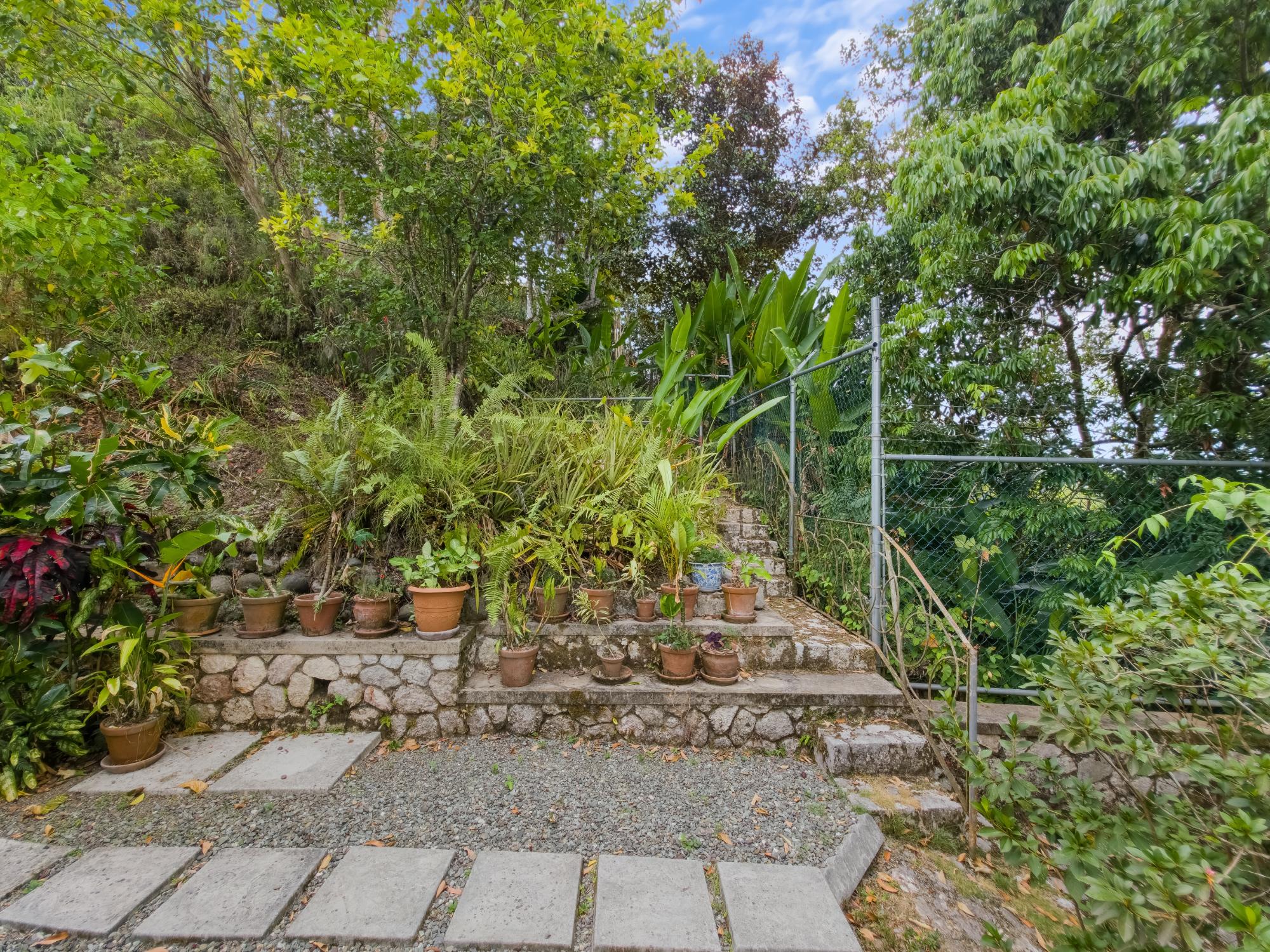 House For Sale: HERMITAGE DAM ROAD, Stony Hill P.O. | $98,500,000 photo 7