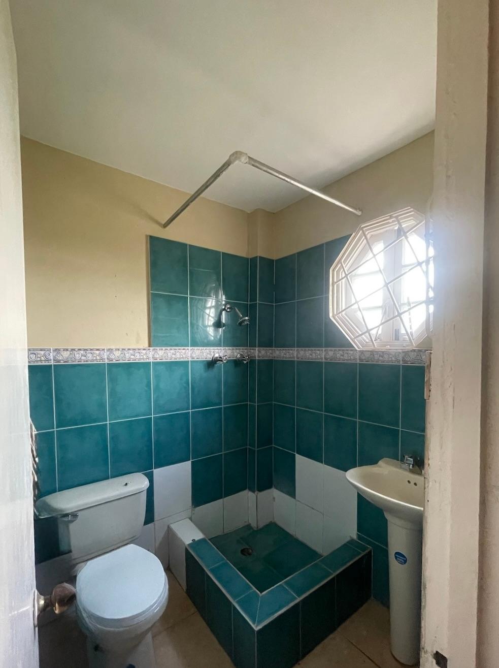 Apartment For Rent: NORTH MICHIGAN AVENUE, Kingston 19 | $150,000 photo 21