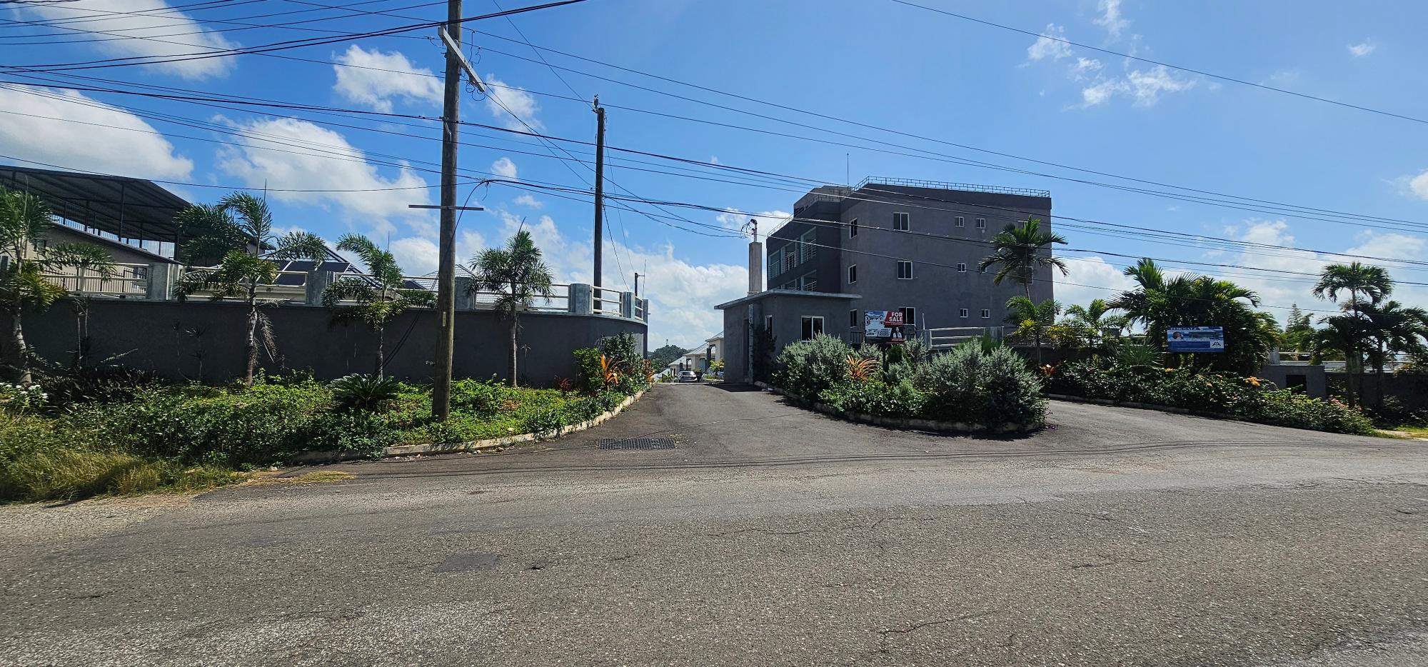 House For Sale: ARIKA PALM ESTATE WARDS, Mandeville | $59,000,000 photo 8