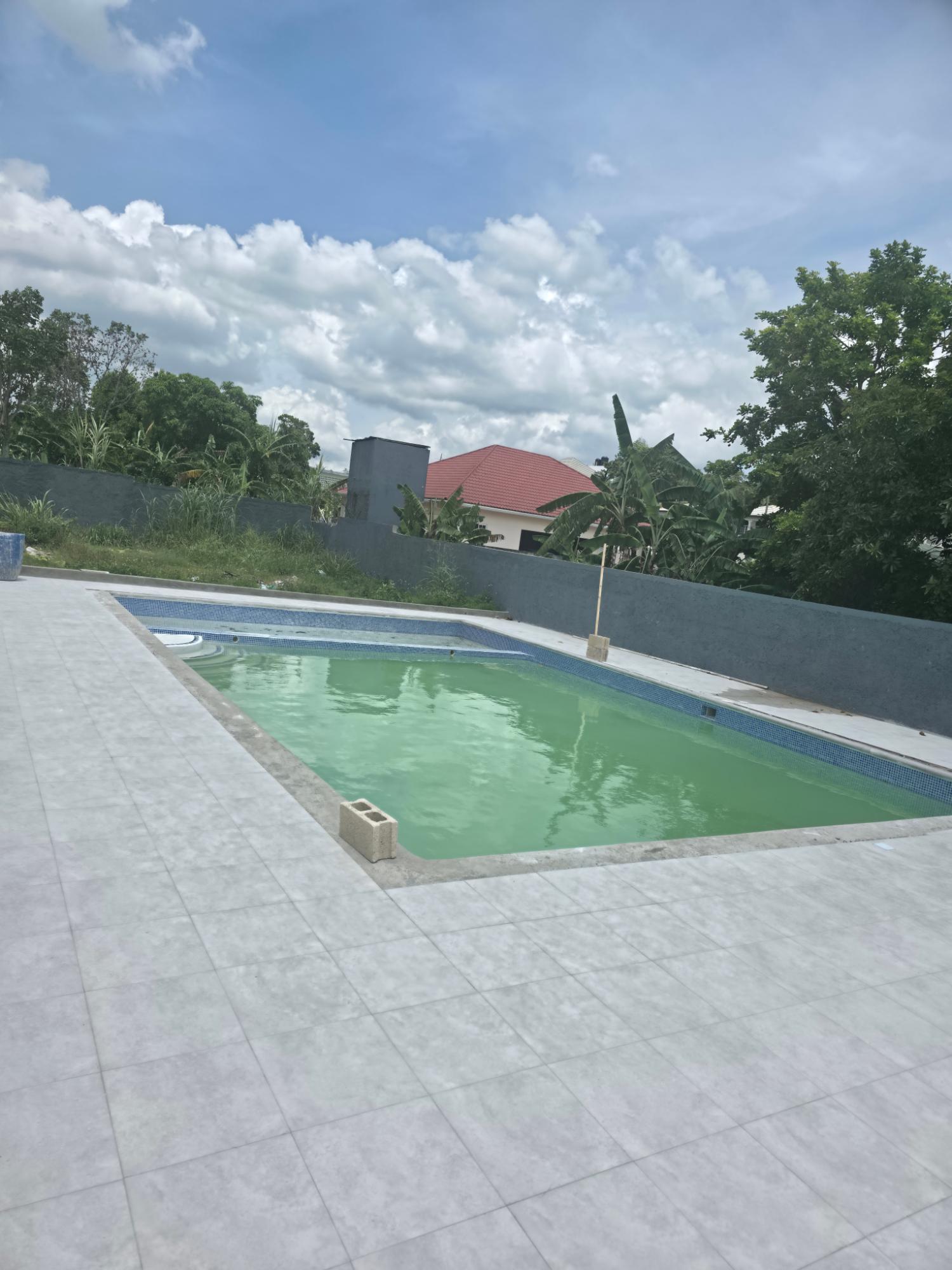 House For Sale: ARIKA PALM ESTATE WARDS, Mandeville | $59,000,000 photo 9