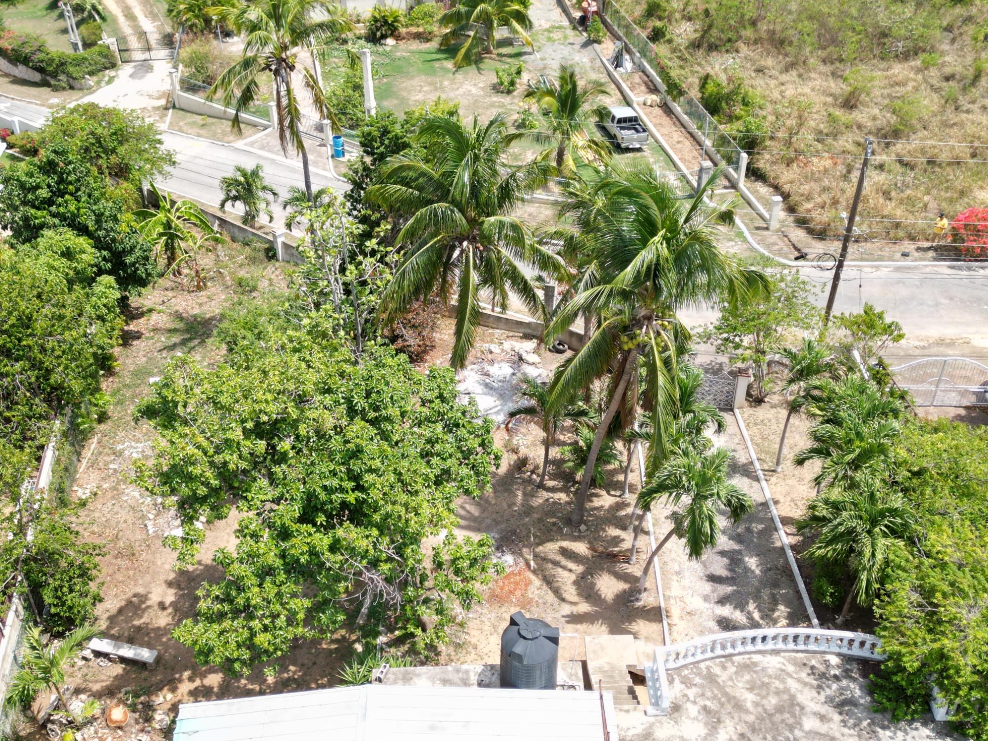 House For Sale: TWICKENHAM AVE, St. Jago Heights | $39,000,000 photo 9