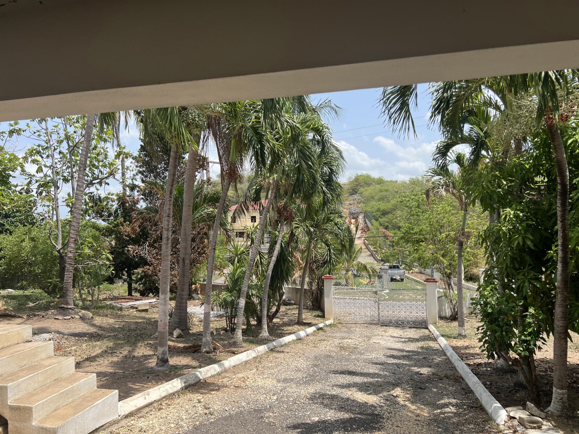 House For Sale: TWICKENHAM AVE, St. Jago Heights | $39,000,000 photo 15