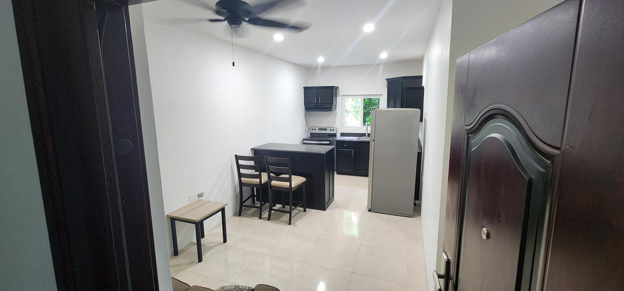 Apartment For Rent: GORE TERRACE, Constant Spring P.O. | $170,000 photo 8