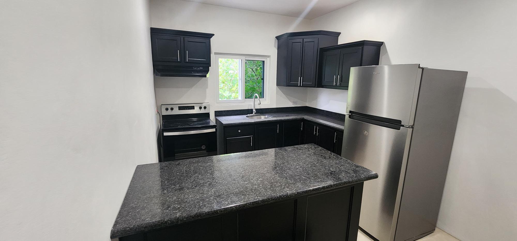 Apartment For Rent: GORE TERRACE, Constant Spring P.O. | $170,000 photo 16