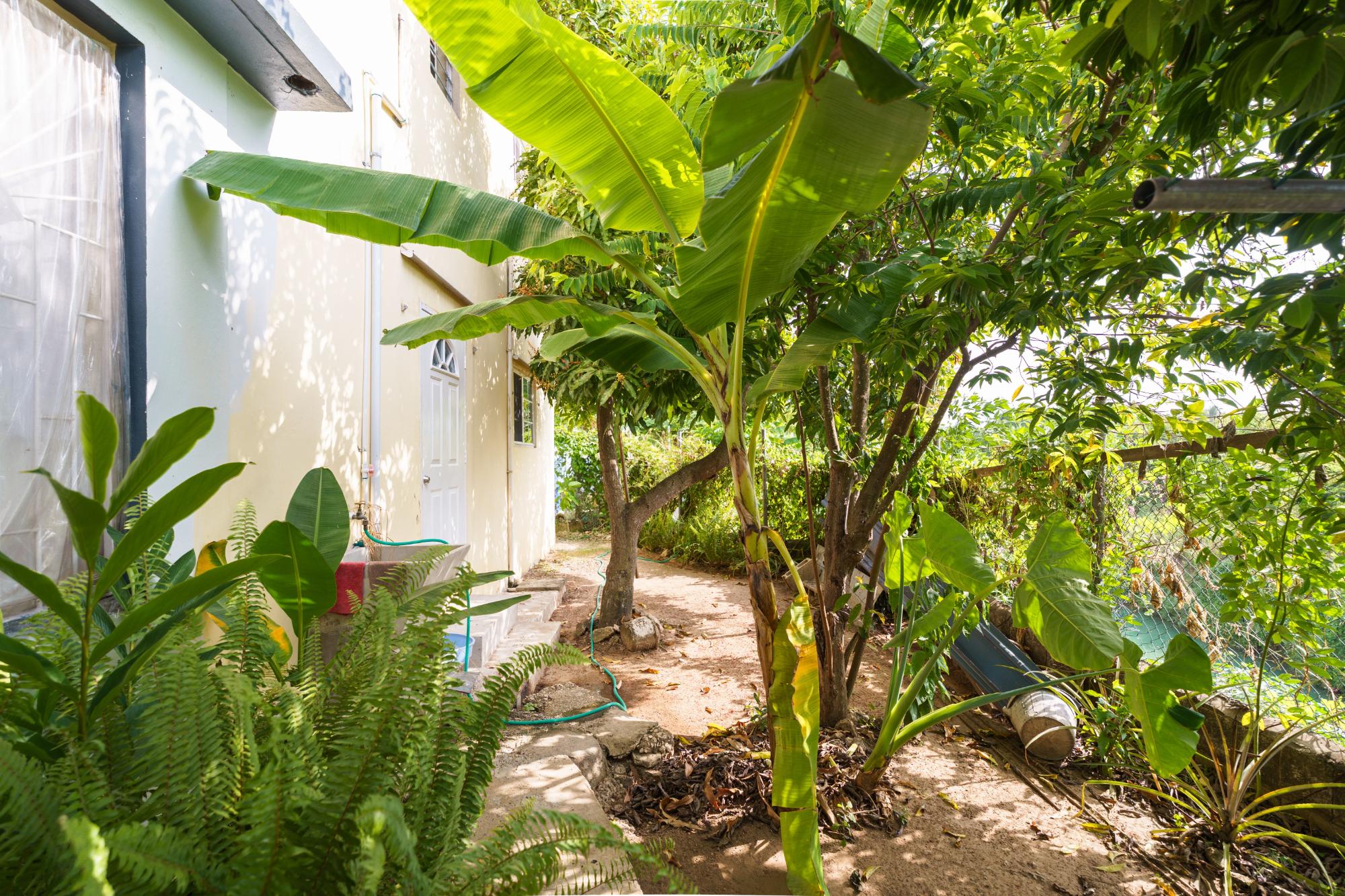 House For Sale: RIO COBRE DRIVE, Lauriston | $50,000,000 photo 14