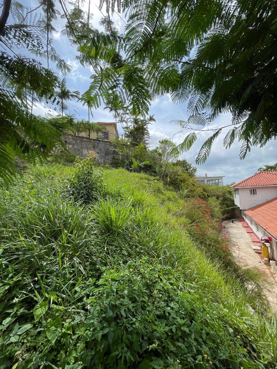 House For Sale: ORANGE AVENUE, MANDEVILLE, KENDAL | $70,000,000 photo 12