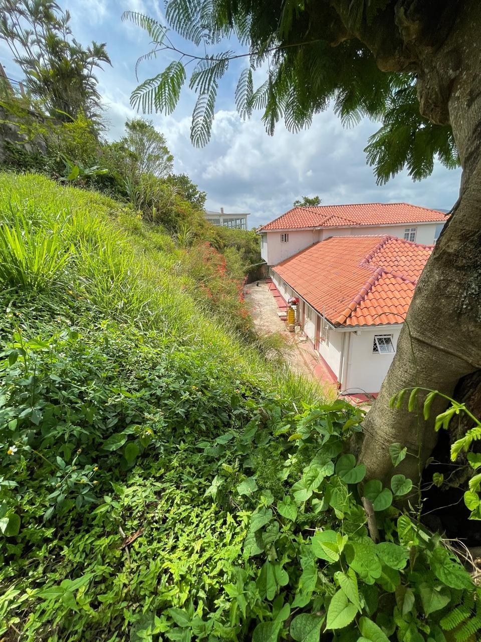 House For Sale: ORANGE AVENUE, MANDEVILLE, KENDAL | $70,000,000 photo 13
