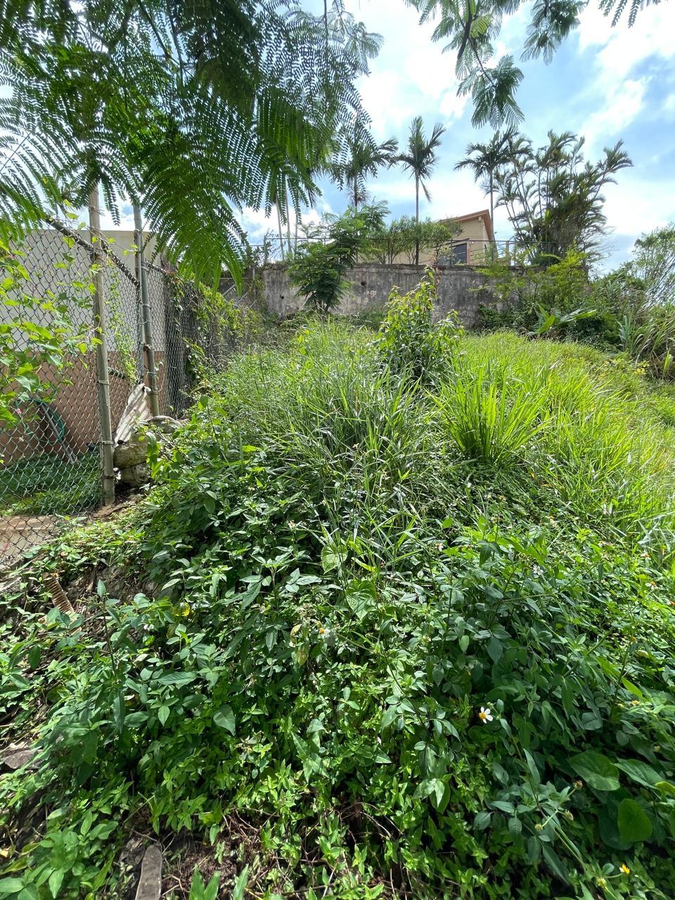 House For Sale: ORANGE AVENUE, MANDEVILLE, KENDAL | $70,000,000 photo 14