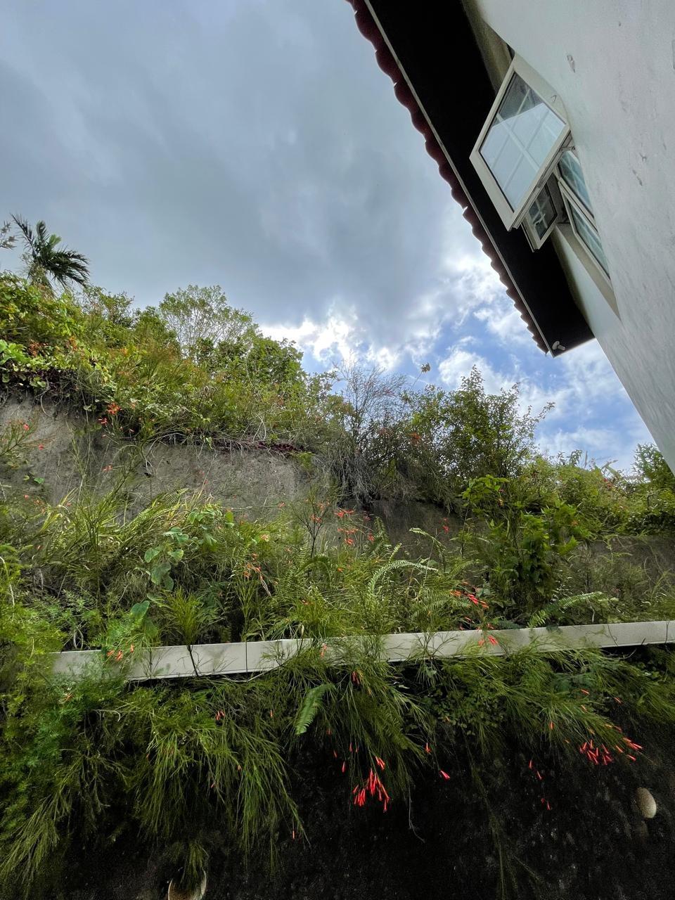 House For Sale: ORANGE AVENUE, MANDEVILLE, KENDAL | $70,000,000 photo 20