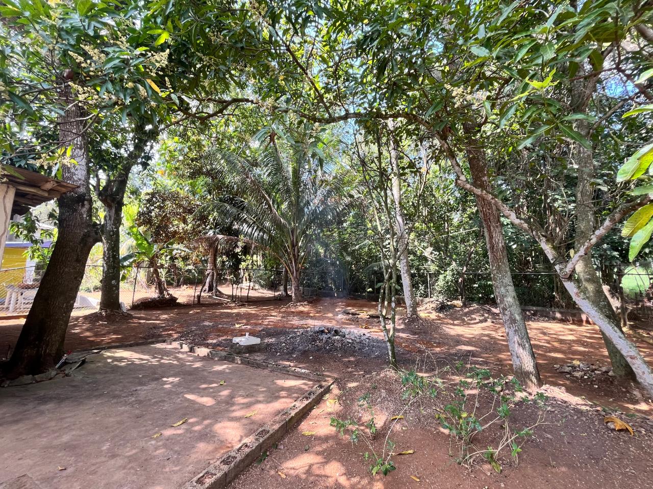 House For Sale: RETIREMENT RD, SANTA CRUZ, Santa Cruz | $19,850,000 photo 17