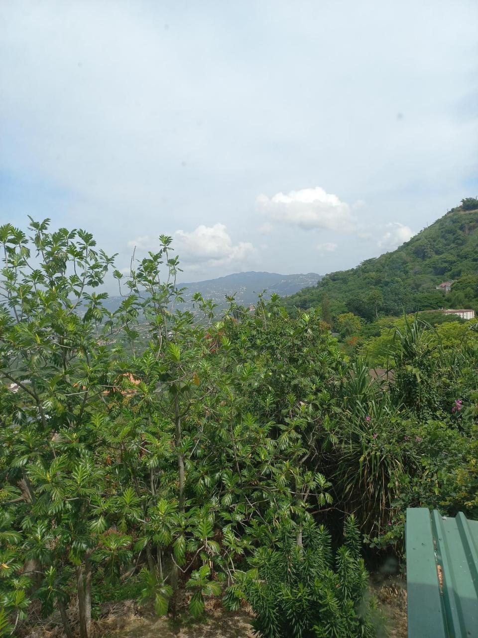 House For Rent: HARRIMAN CLOSE, JACKS HIL, Kingston 6 | $1,800