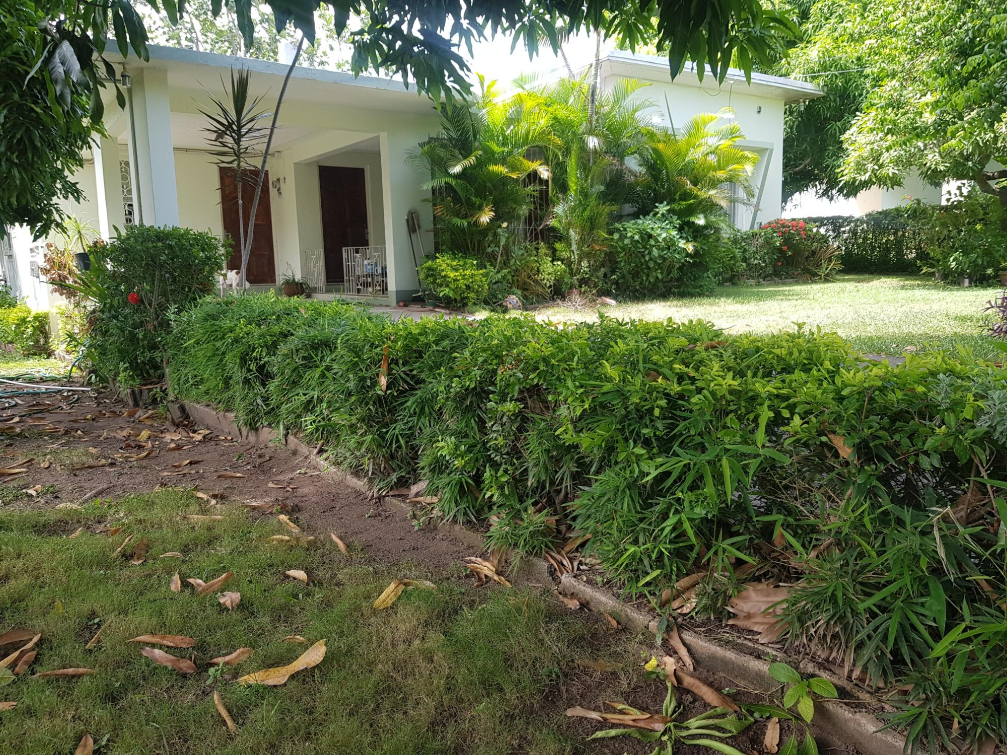 House For Sale: ARMON JONES CRESCENT, Kingston 6 | $600,000