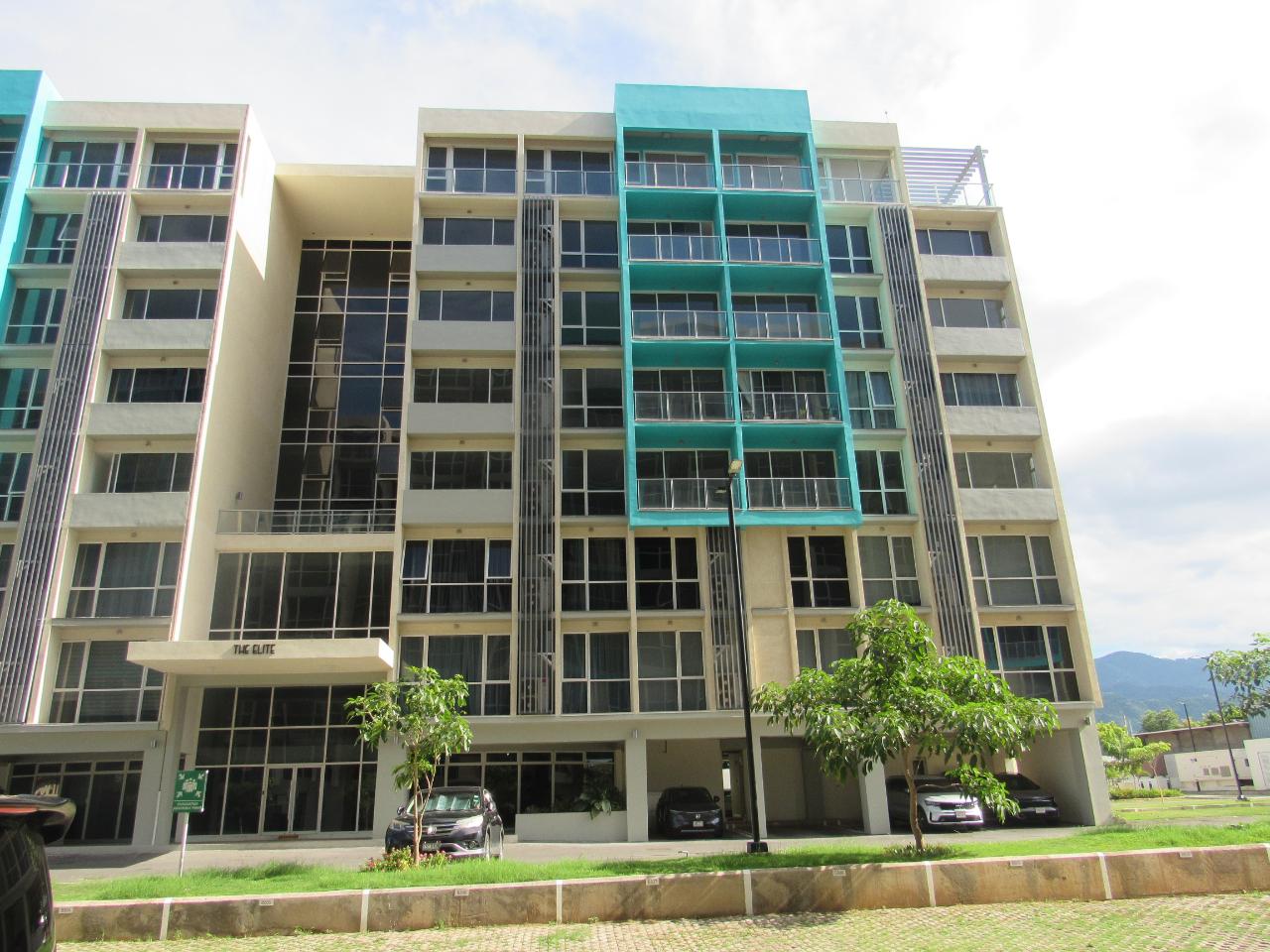 Apartment For Rent: MUSGRAVE AVENUE, Kingston 5 | $1,500 photo 4