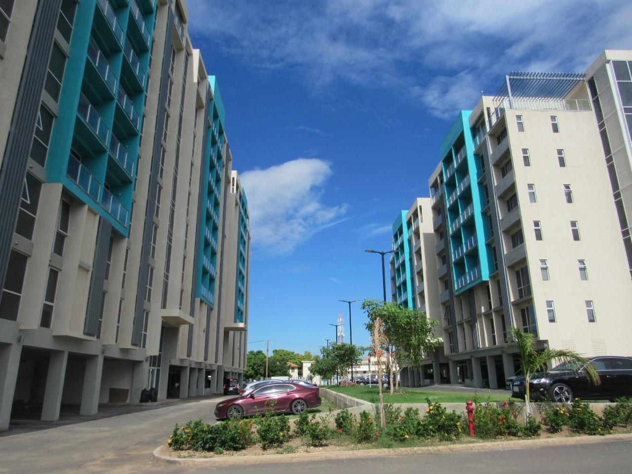 Apartment For Rent: MUSGRAVE AVENUE, Kingston 5 | $1,500 photo 5