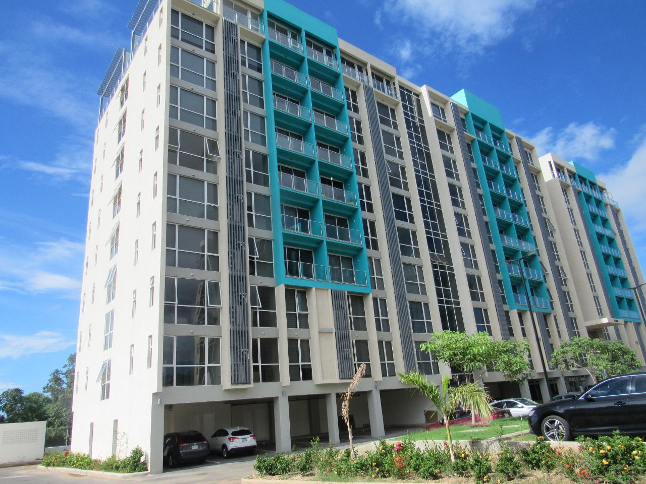 Apartment For Rent: MUSGRAVE AVENUE, Kingston 5 | $1,500 photo 6
