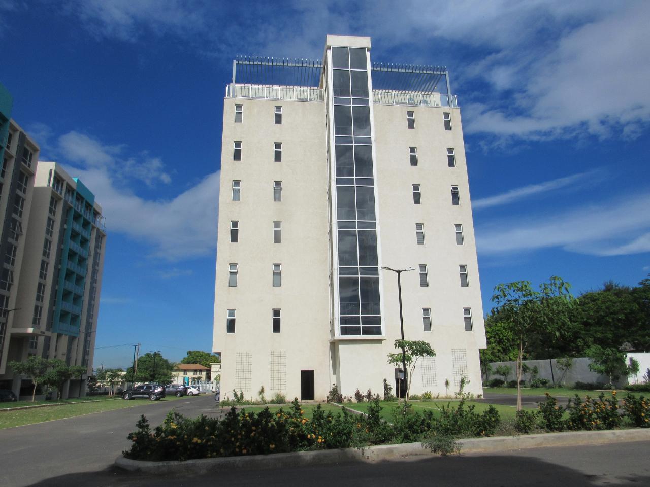 Apartment For Rent: MUSGRAVE AVENUE, Kingston 5 | $1,500 photo 17
