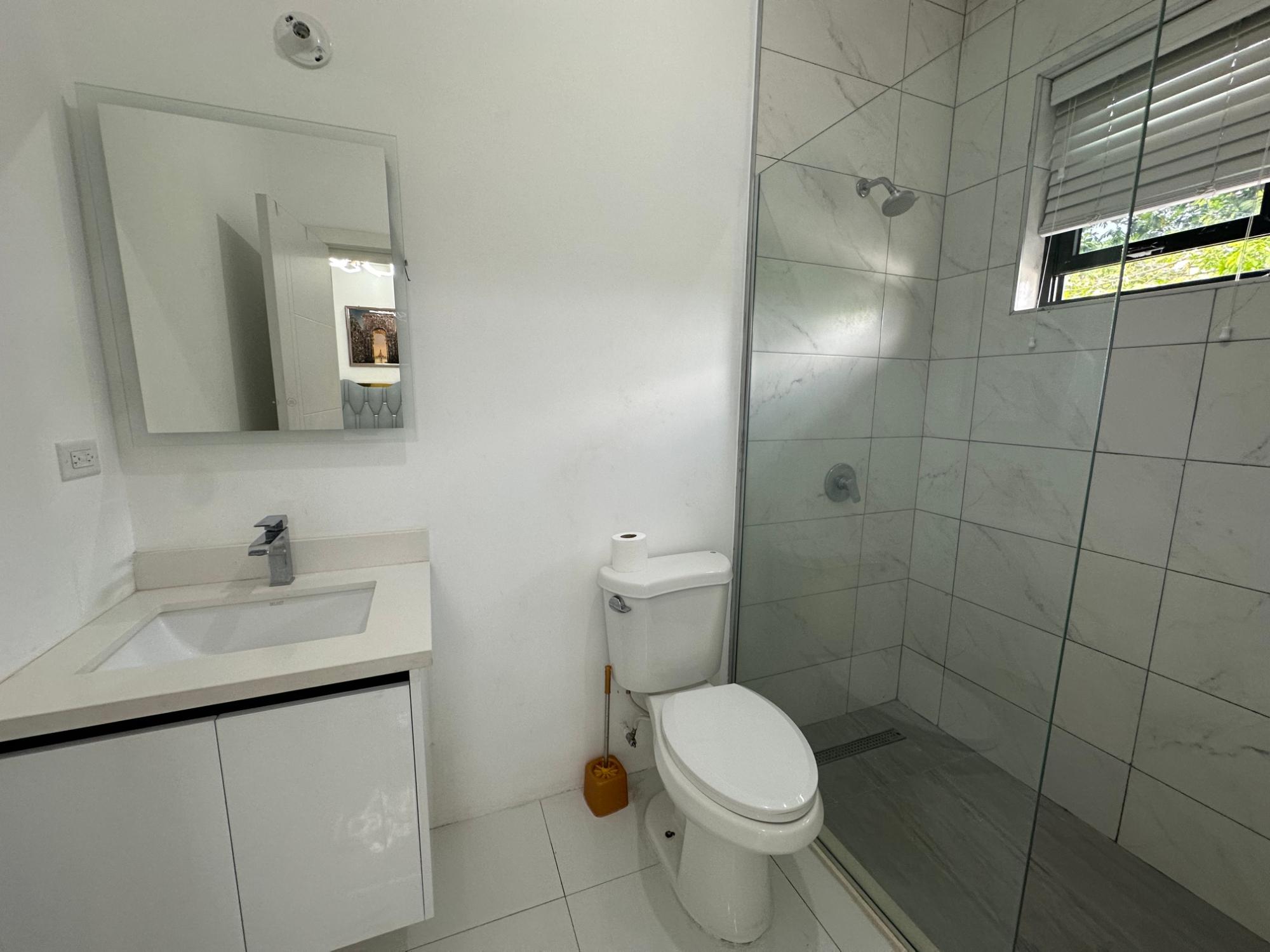 Apartment For Rent: KINGS HOUSE AVENUE, Kingston 6 | $2,850 photo 17