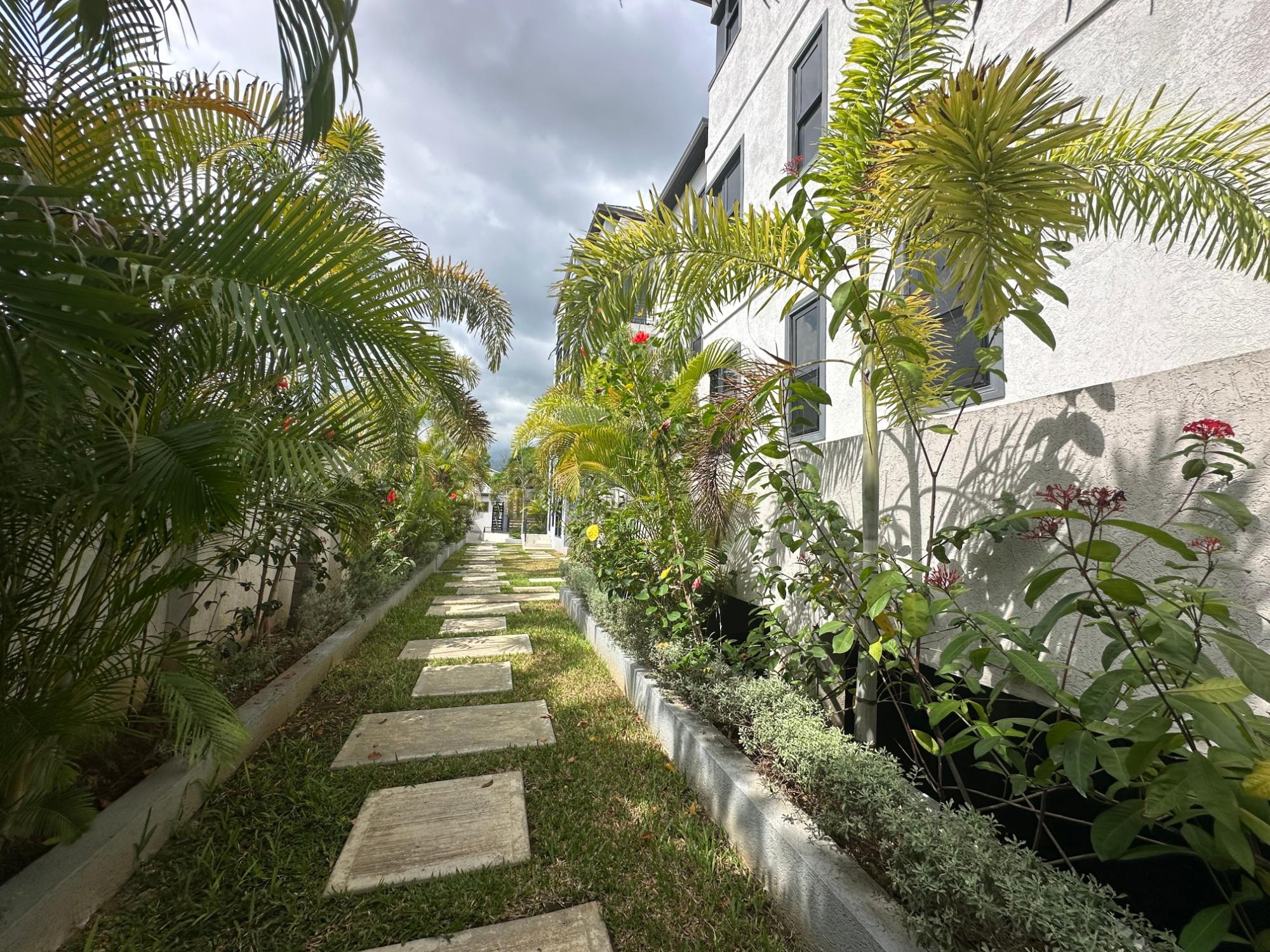 Apartment For Rent: KINGS HOUSE AVENUE, Kingston 6 | $2,850 photo 22