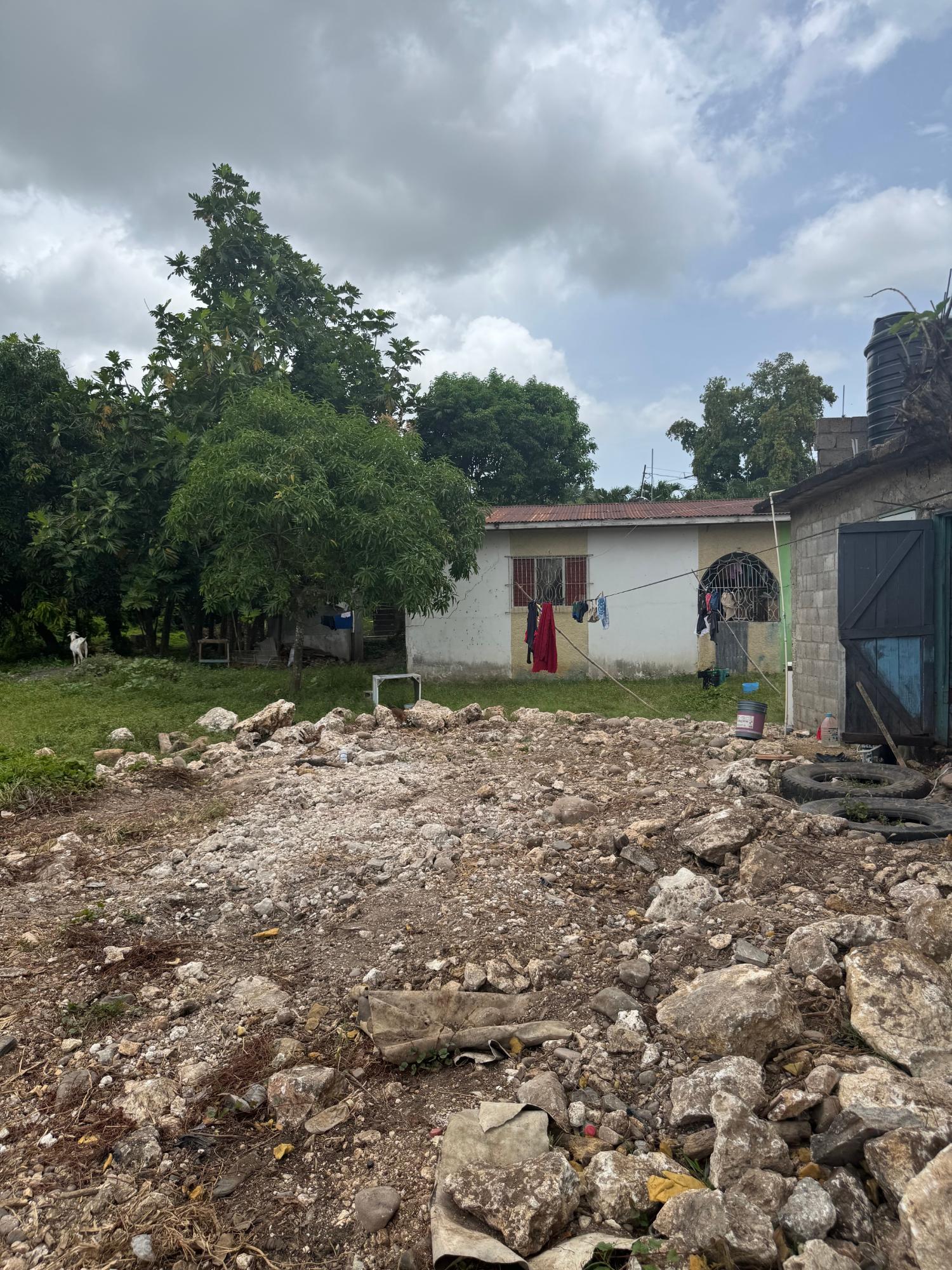 House For Sale: RULES PEN, MAY PEN, May Pen | $15,000,000 photo 4
