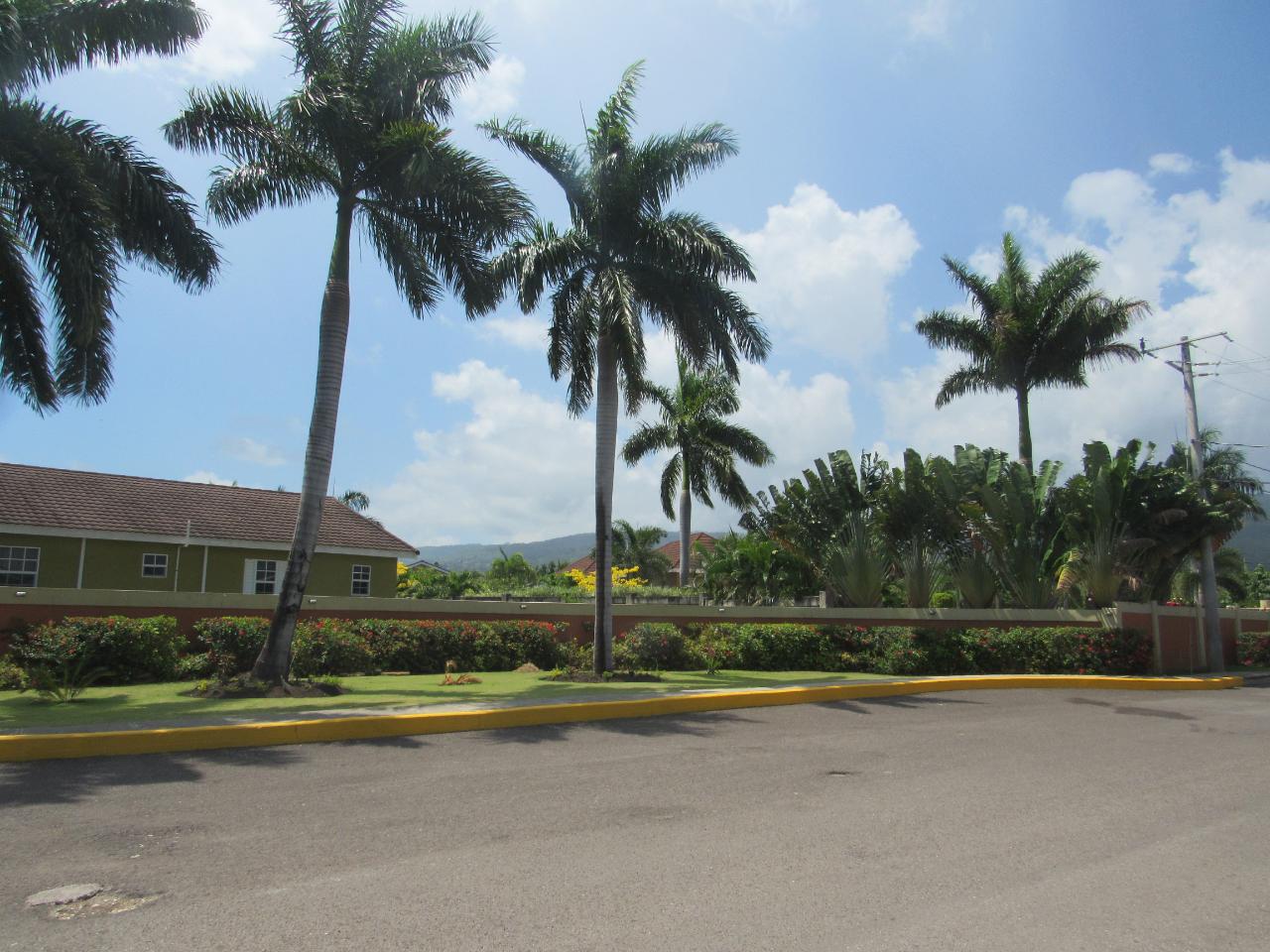 House For Rent: CALABASH BOULEVARD, St. Ann@~apos;s Bay | $1,500 photo 7