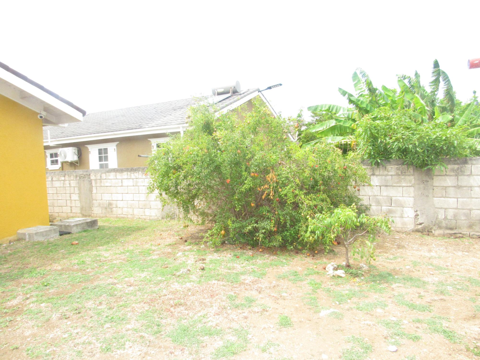 House For Rent: CALABASH BOULEVARD, St. Ann@~apos;s Bay | $1,500 photo 13