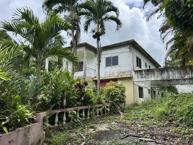 House For Sale: GOLDEN SPRING, Golden Spring P.O. | $30,000,000 photo 2