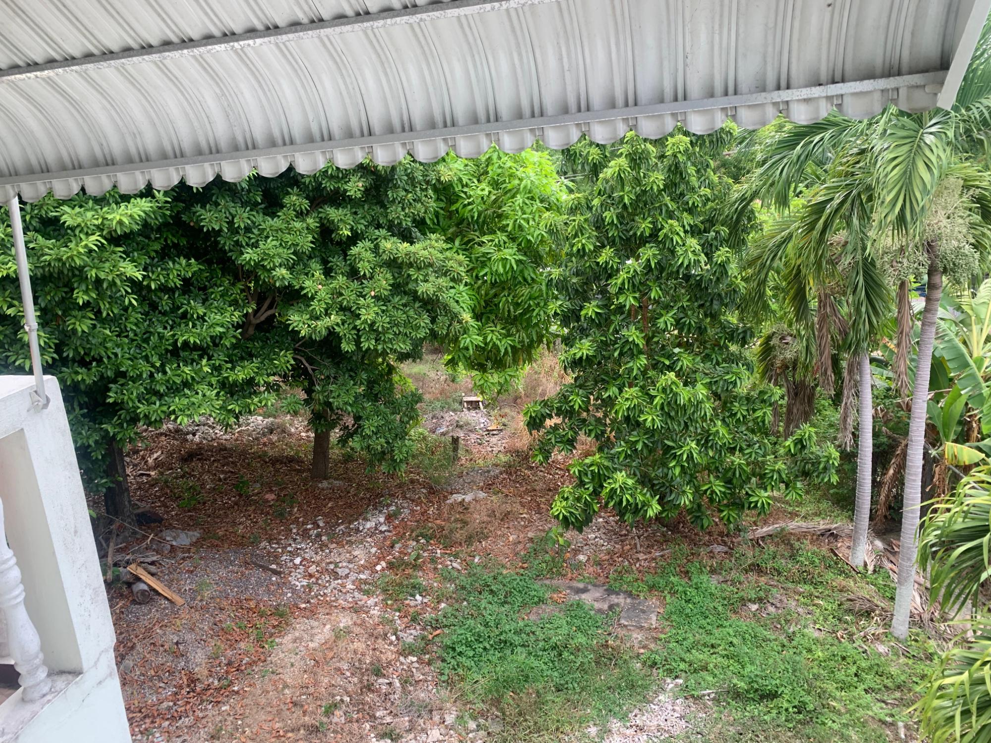 House For Sale: BUCHAVEN MAYPEN, May Pen | $49,000,000 photo 7