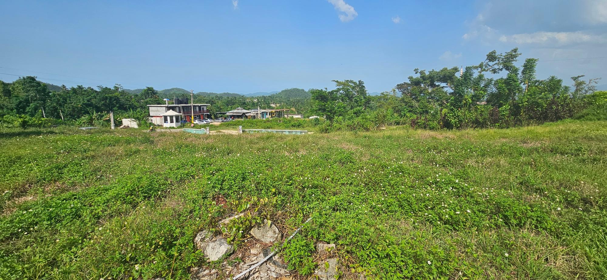 House For Sale: BURNT GROUND, Ramble | $560,000 photo 5
