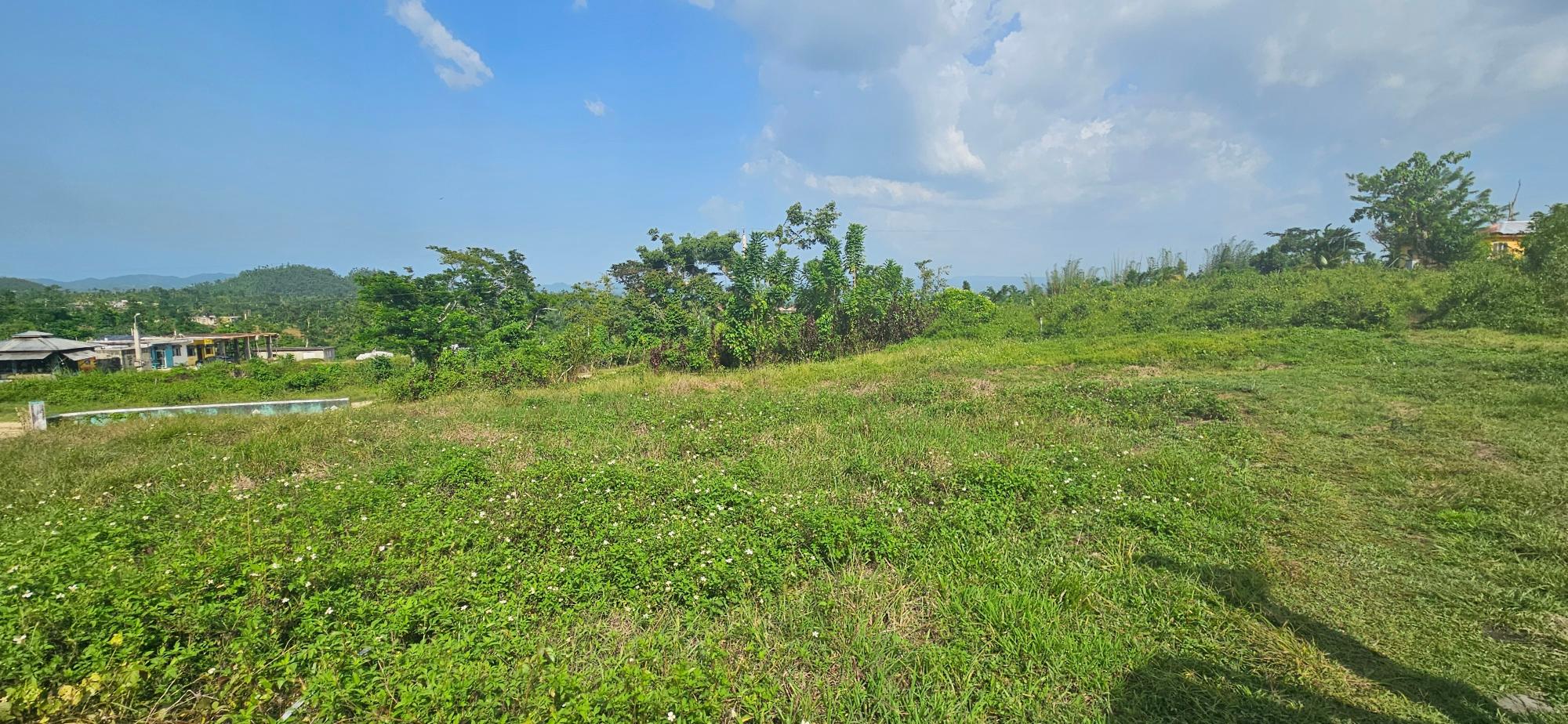 House For Sale: BURNT GROUND, Ramble | $560,000 photo 6