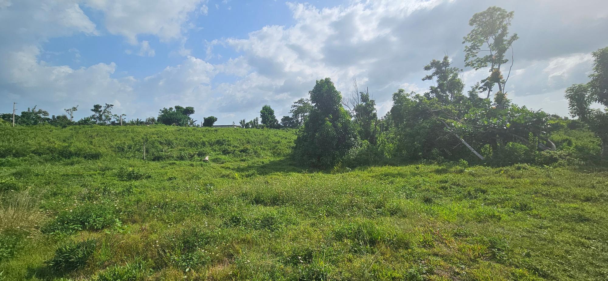 House For Sale: BURNT GROUND, Ramble | $560,000 photo 7