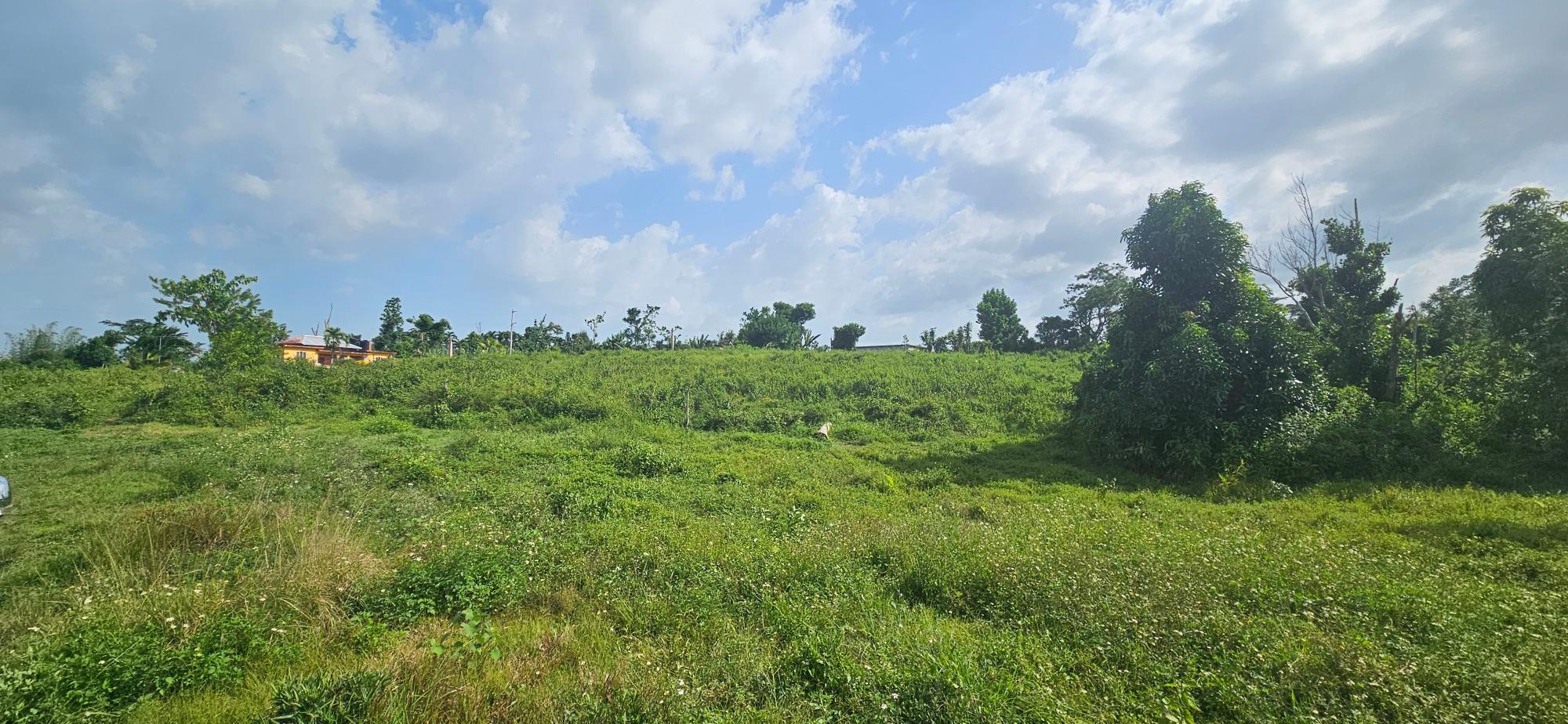 House For Sale: BURNT GROUND, Ramble | $560,000 photo 8