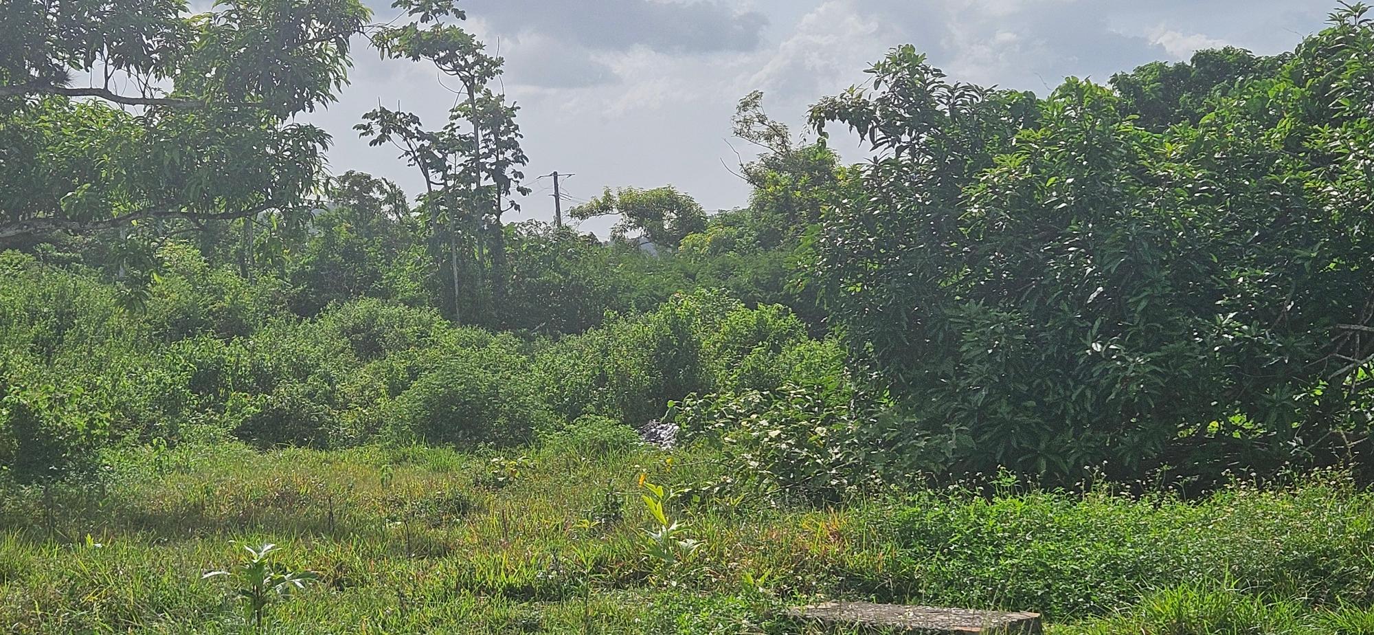 House For Sale: BURNT GROUND, Ramble | $560,000 photo 10