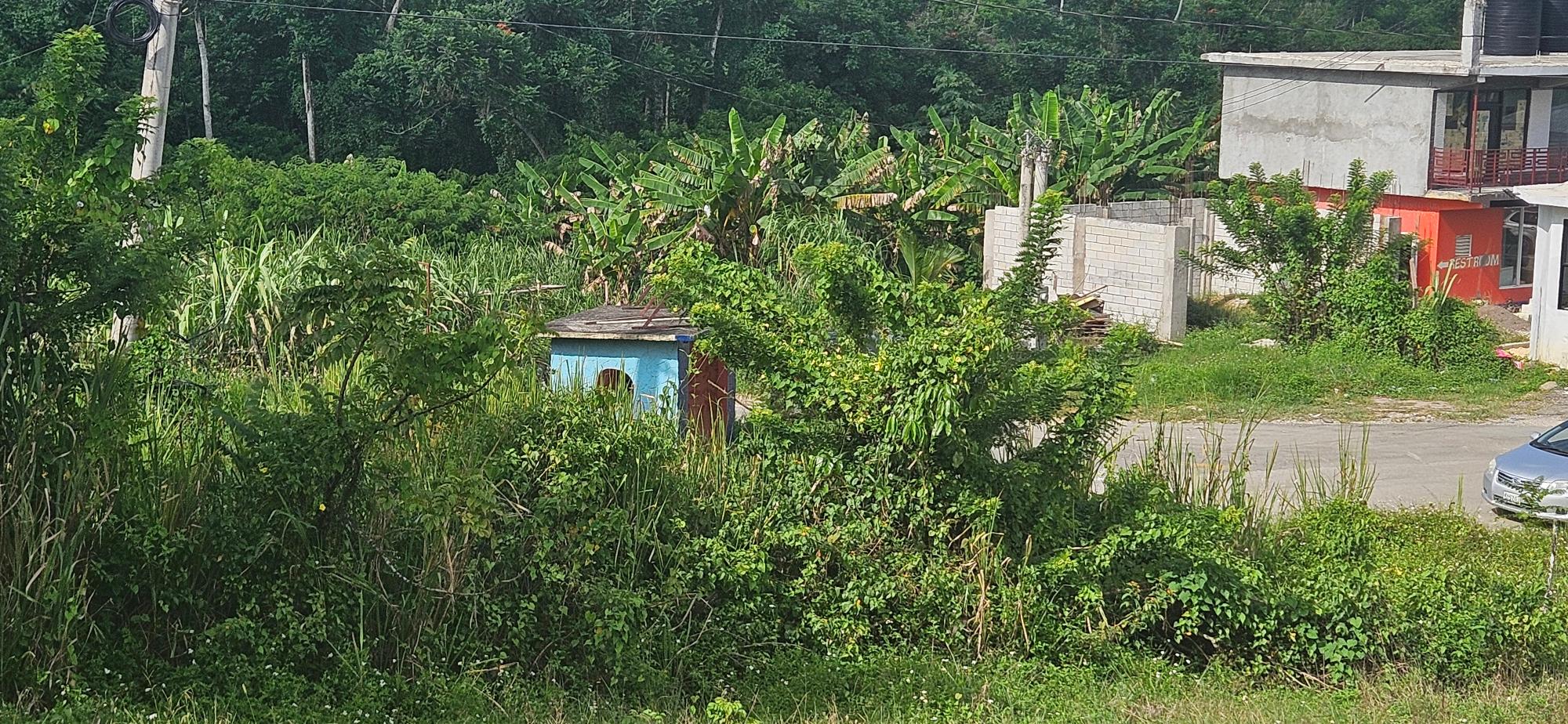 House For Sale: BURNT GROUND, Ramble | $560,000 photo 13