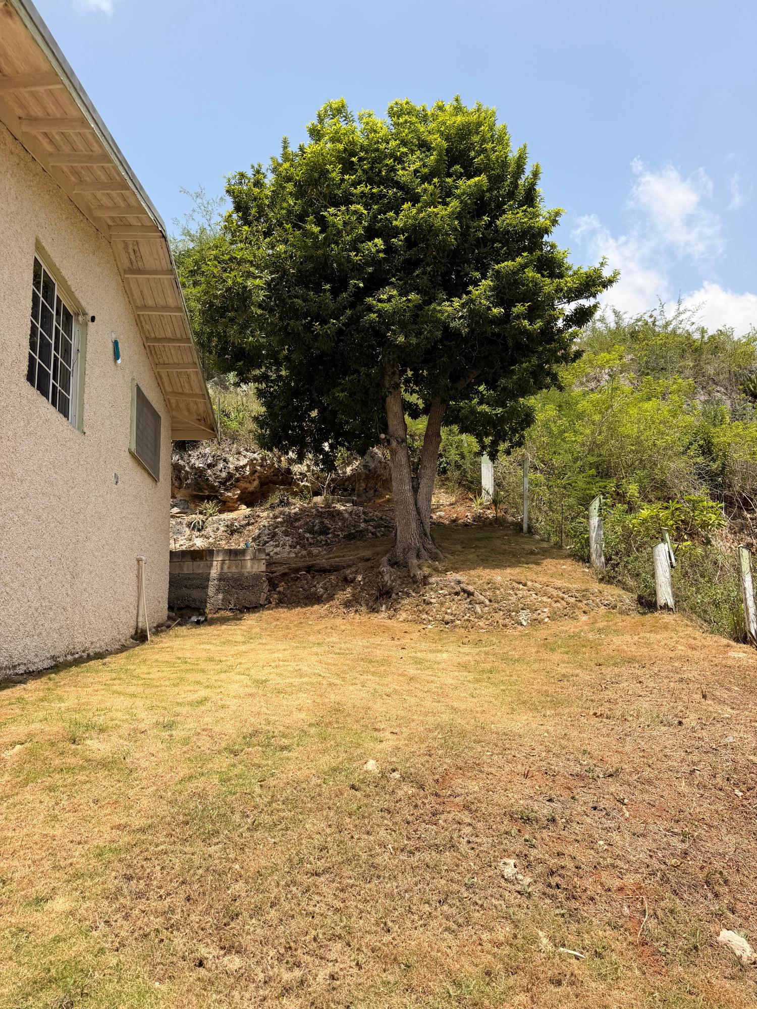 House For Sale: ST. JAGO HILLS, Spanish Town | $21,000,000 photo 14