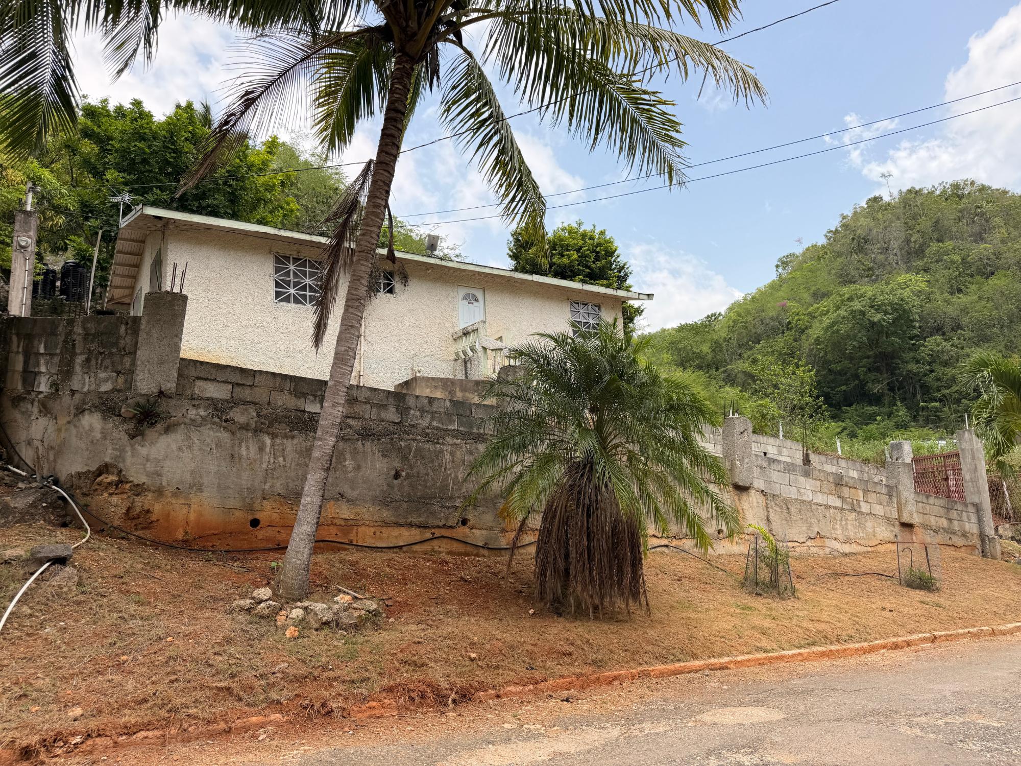 House For Sale: ST. JAGO HILLS, Spanish Town | $21,000,000 photo 16