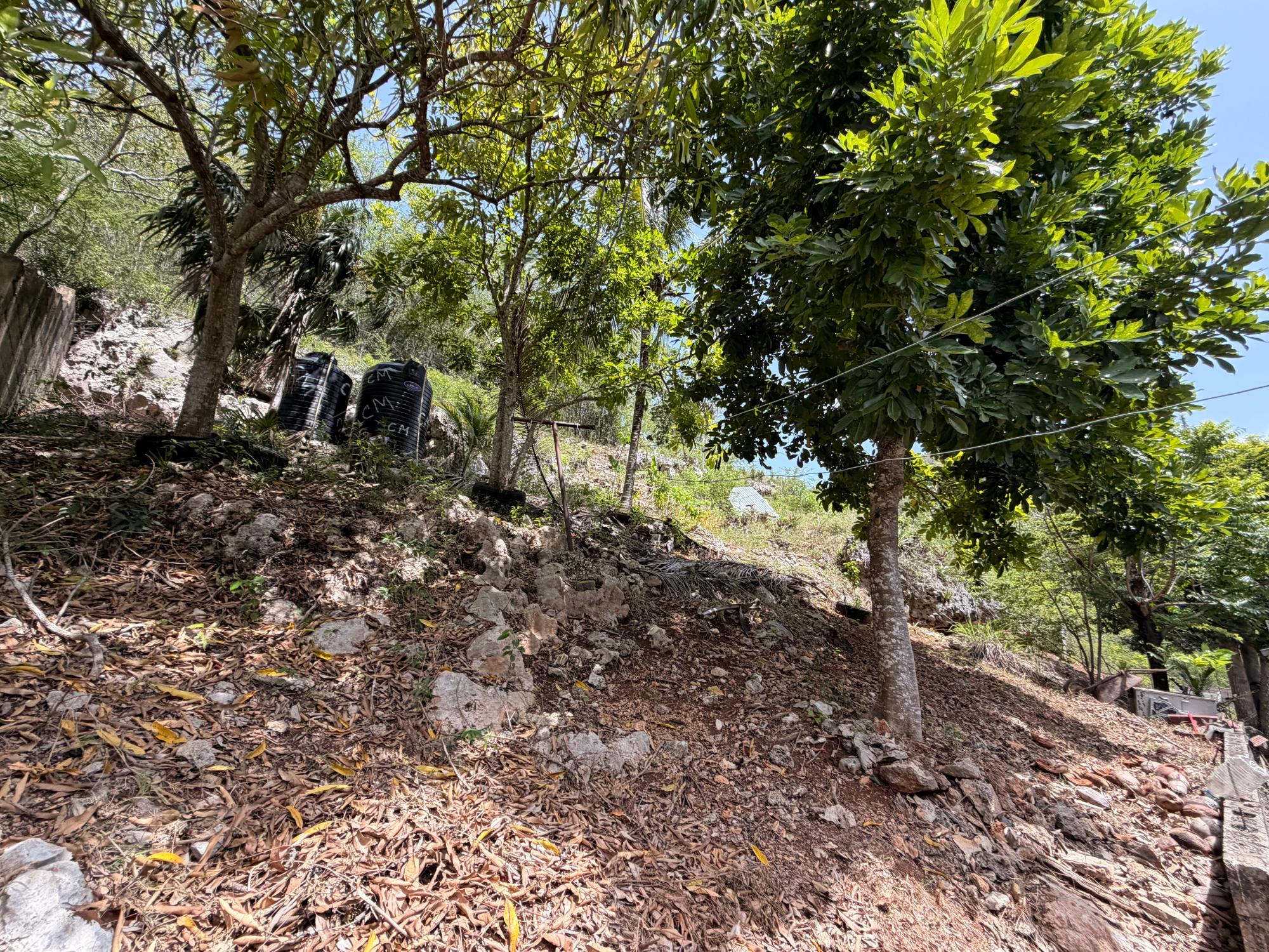 House For Sale: ST. JAGO HILLS, Spanish Town | $21,000,000 photo 20