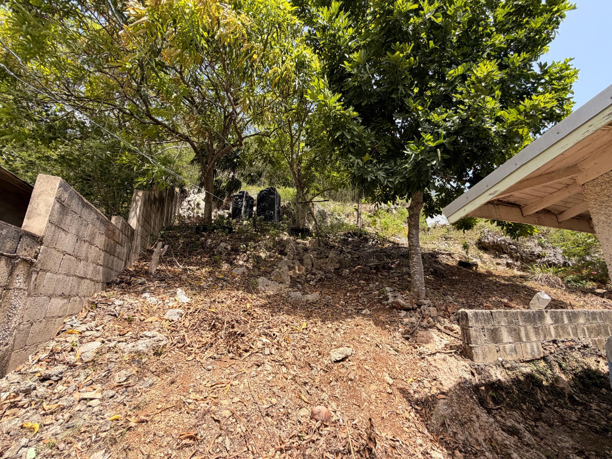 House For Sale: ST. JAGO HILLS, Spanish Town | $21,000,000 photo 21