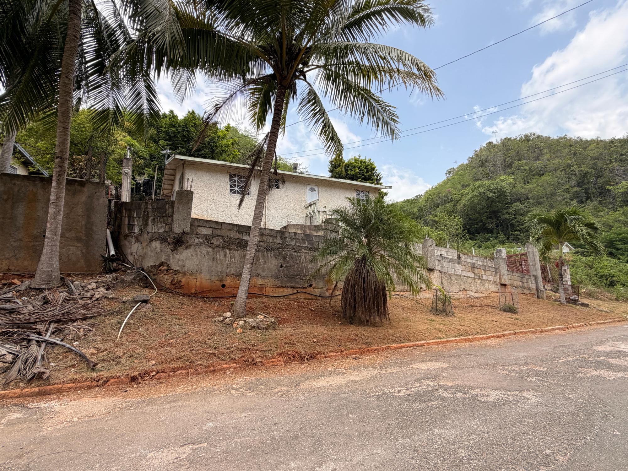House For Sale: ST. JAGO HILLS, Spanish Town | $21,000,000 photo 22