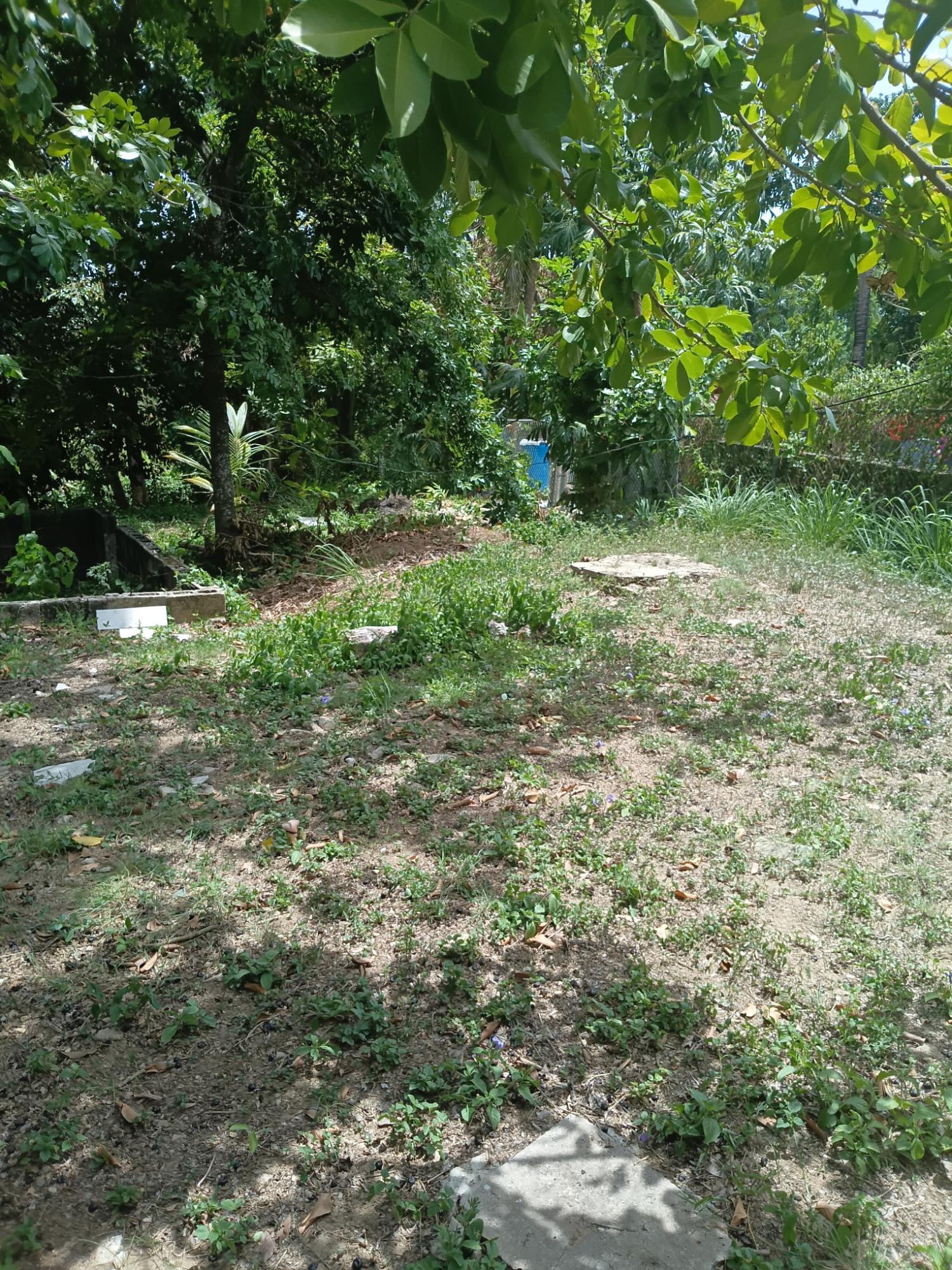 House For Rent: MONTICELLO, SPANISH TOWN, Spanish Town | $100,000 photo 9