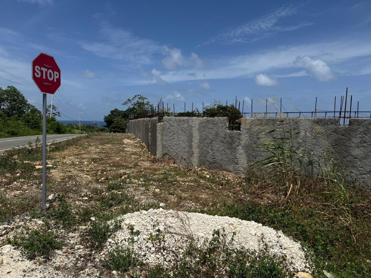 House For Sale: ROSS CRAIG PORTLAND HORI, Port Antonio | $950,000 photo 12