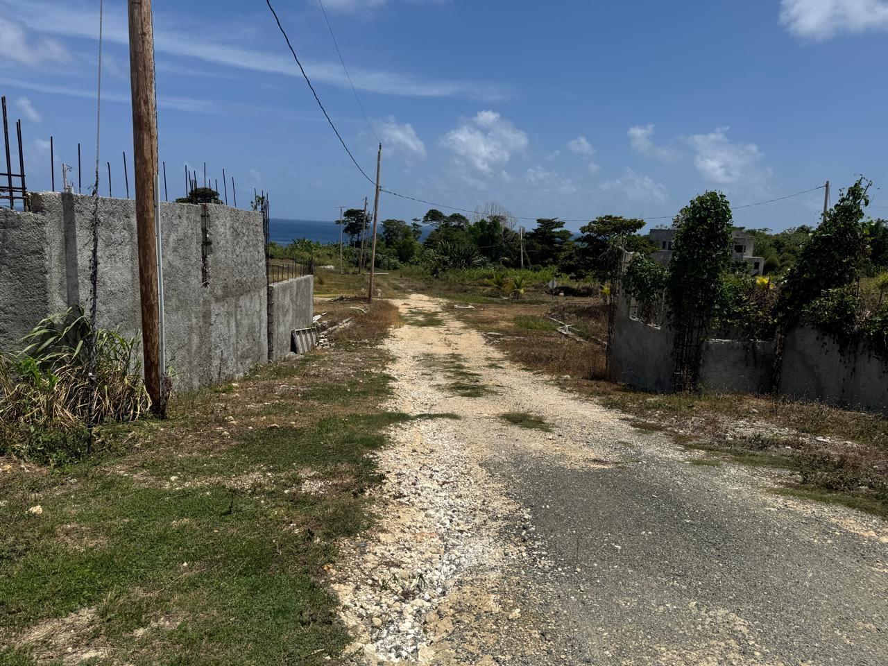 House For Sale: ROSS CRAIG PORTLAND HORI, Port Antonio | $950,000 photo 13