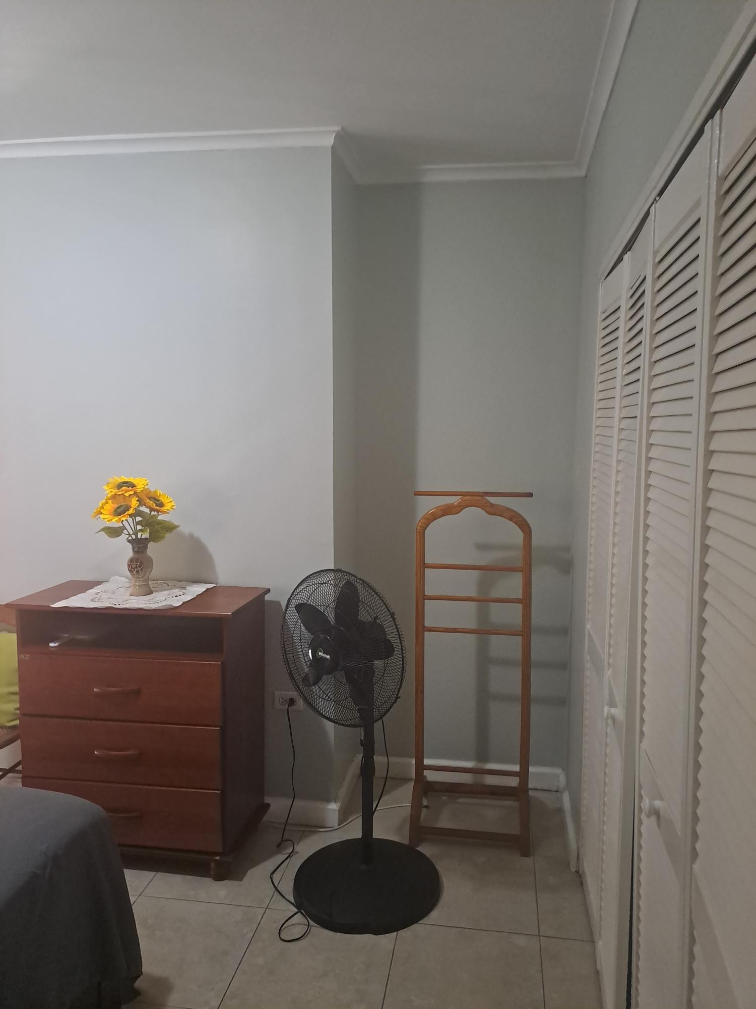 Apartment For Rent: WELLINGTON DRIVE, Kingston 6 | $1,000 photo 9