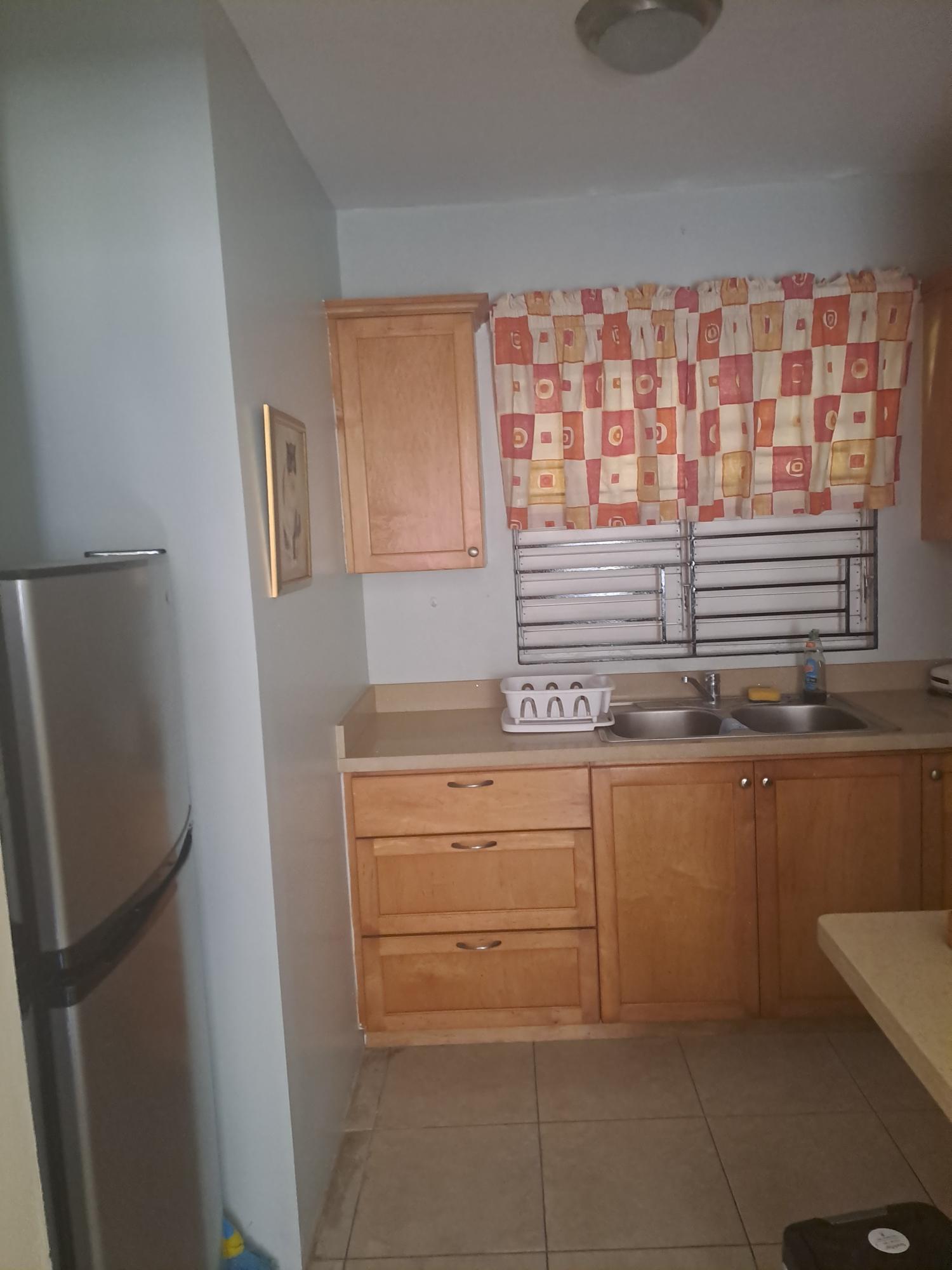 Apartment For Rent: WELLINGTON DRIVE, Kingston 6 | $1,000 photo 11
