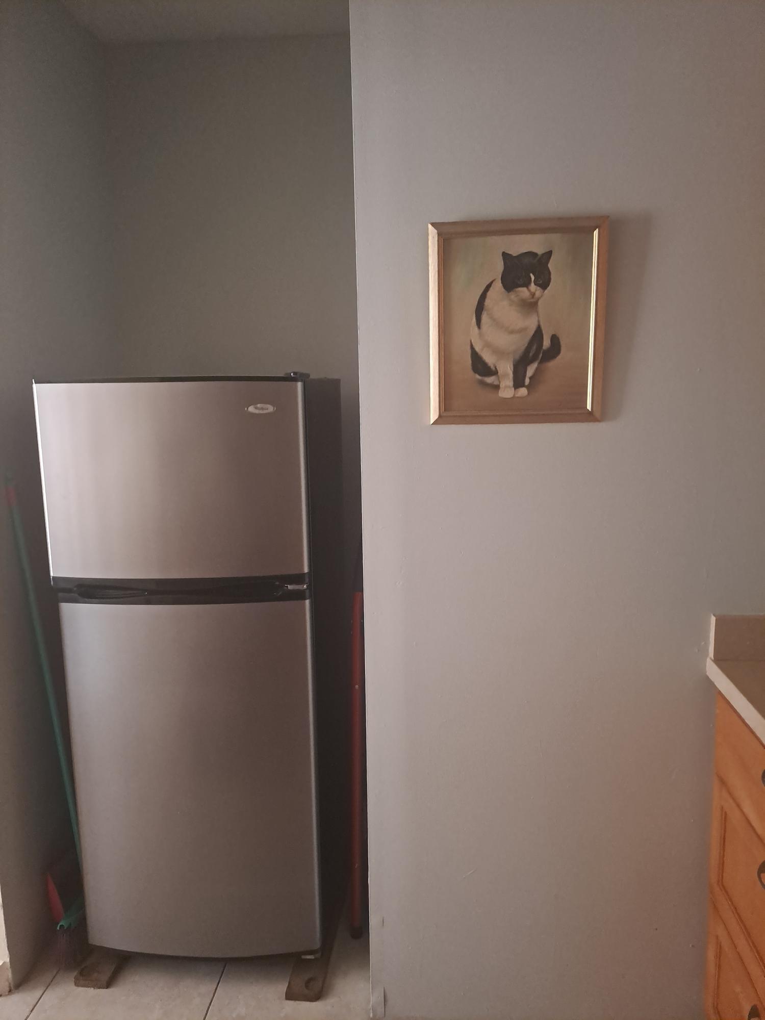 Apartment For Rent: WELLINGTON DRIVE, Kingston 6 | $1,000 photo 12