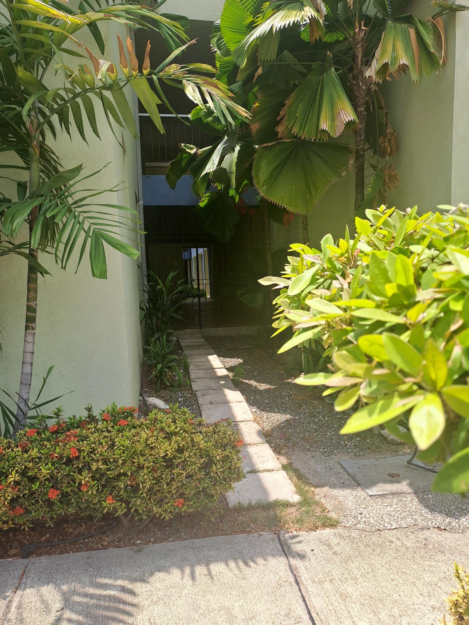 Apartment For Rent: WELLINGTON DRIVE, Kingston 6 | $1,000 photo 15