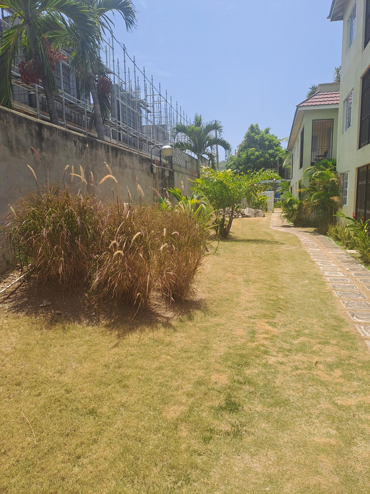 Apartment For Rent: WELLINGTON DRIVE, Kingston 6 | $1,000 photo 17