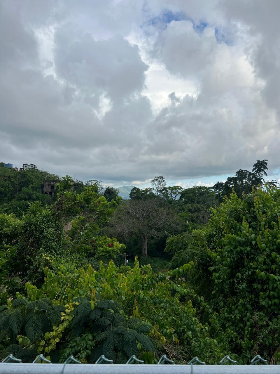 Apartment For Rent: POWELL CLOSE, Red Hills | $170,000 photo 3